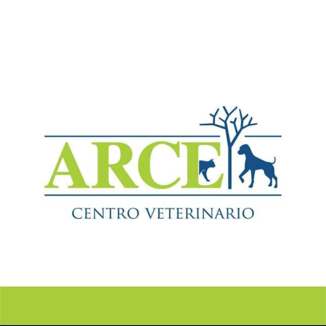 Logo ARCE CENTRO VETERINARIO