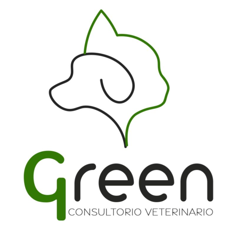 Logo Green Consultorio Veterinario