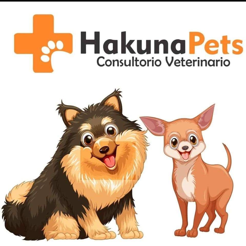 Logo Hakuna Pets