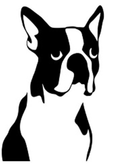 Logo Mascotilandia Sucursal del Valle R.A Hospital y Medicina Preventiva