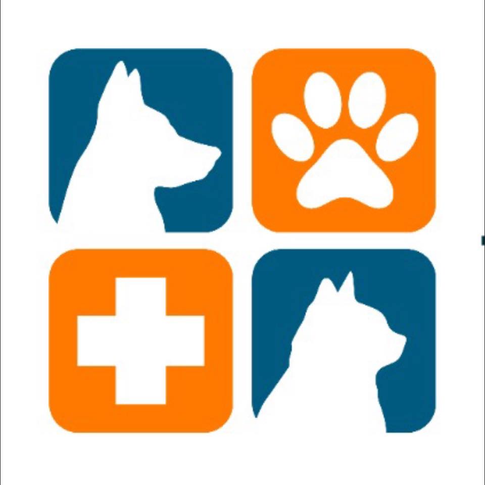 Logo Centro Veterinario Pachuca