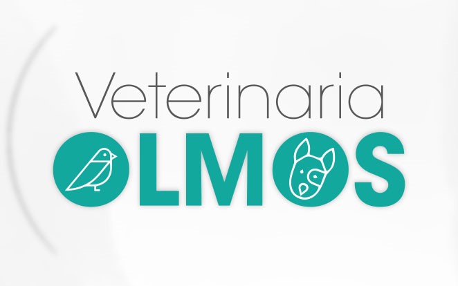 Logo Clínica Veterinaria Olmos