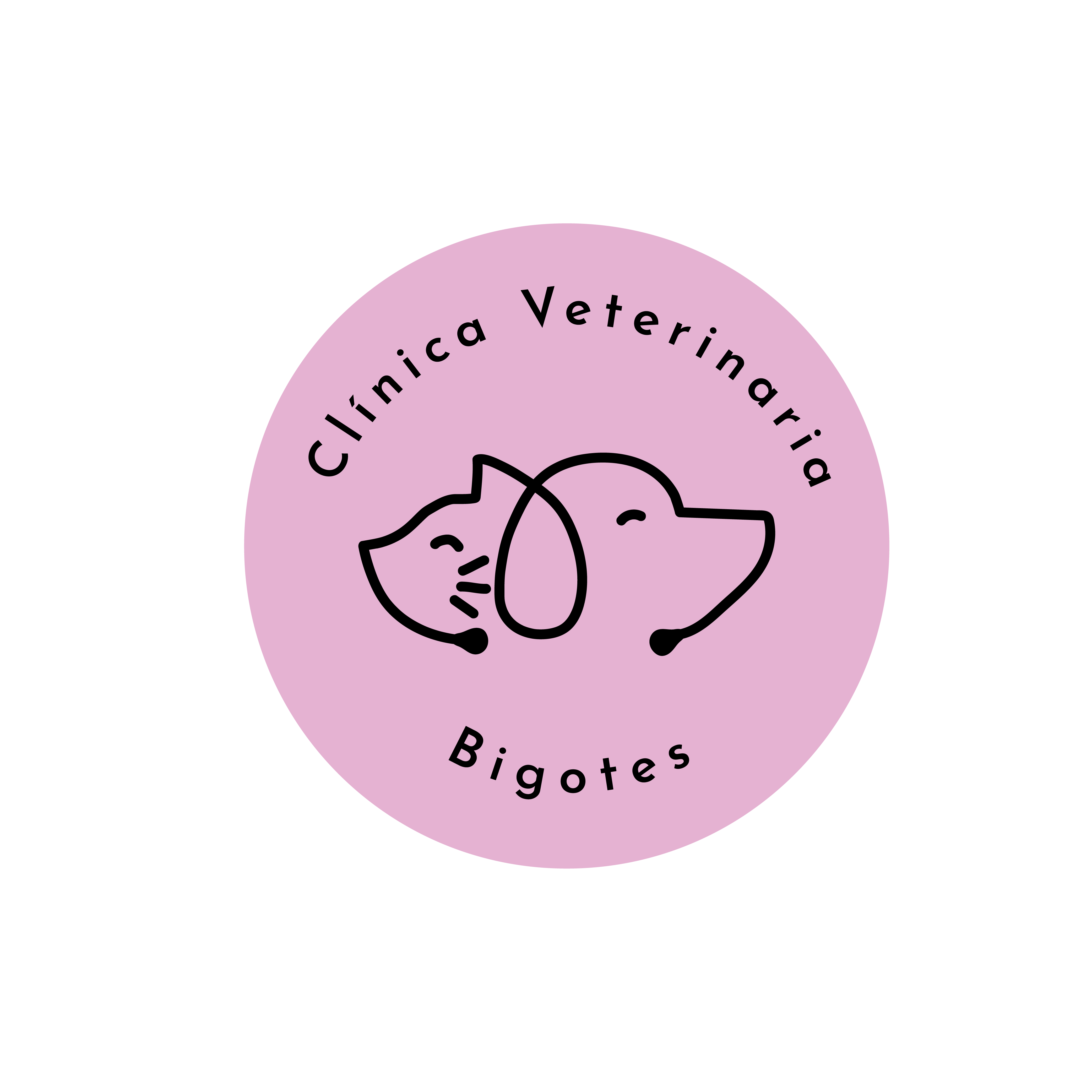 Logo Bigotes Clinica Veterinaria