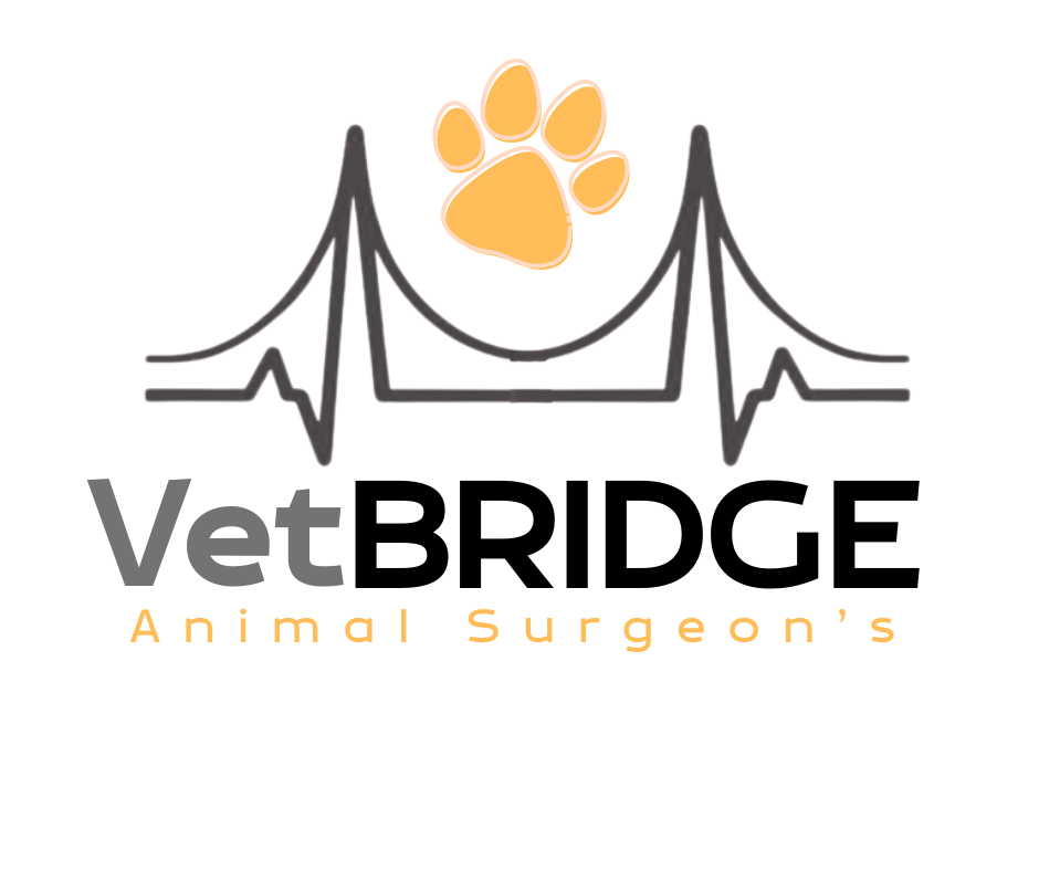 Logo VetBridge
