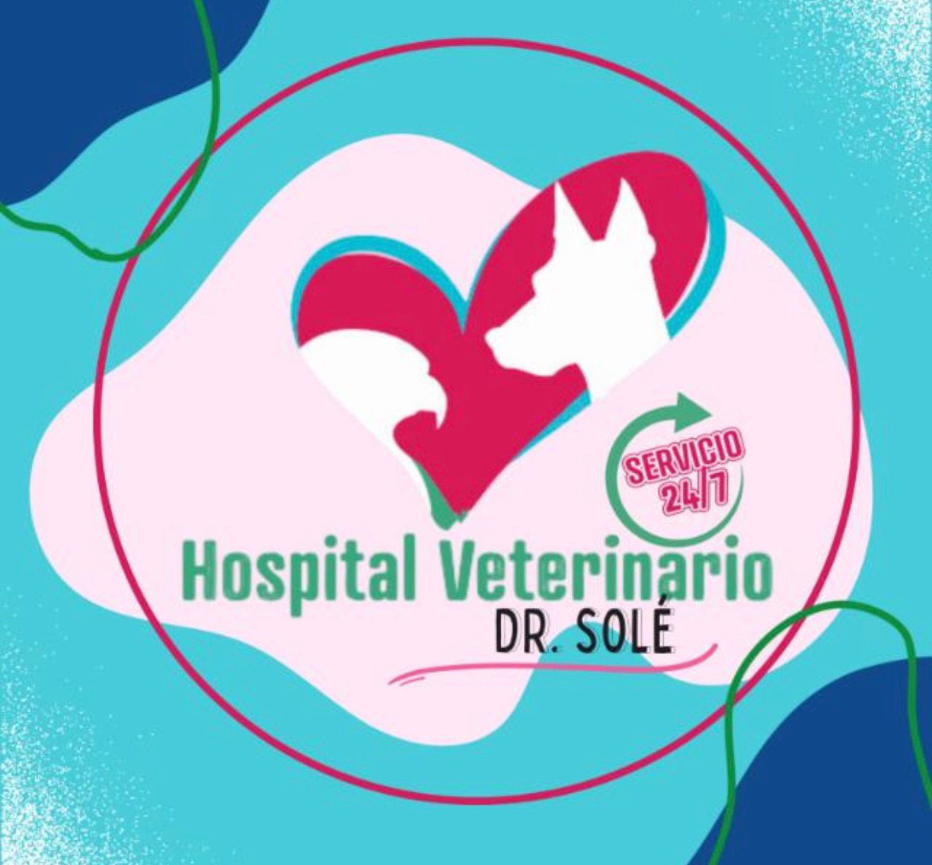Logo HOSPITAL VETERINARIO DE ESPECIALIDADES DR SOLE