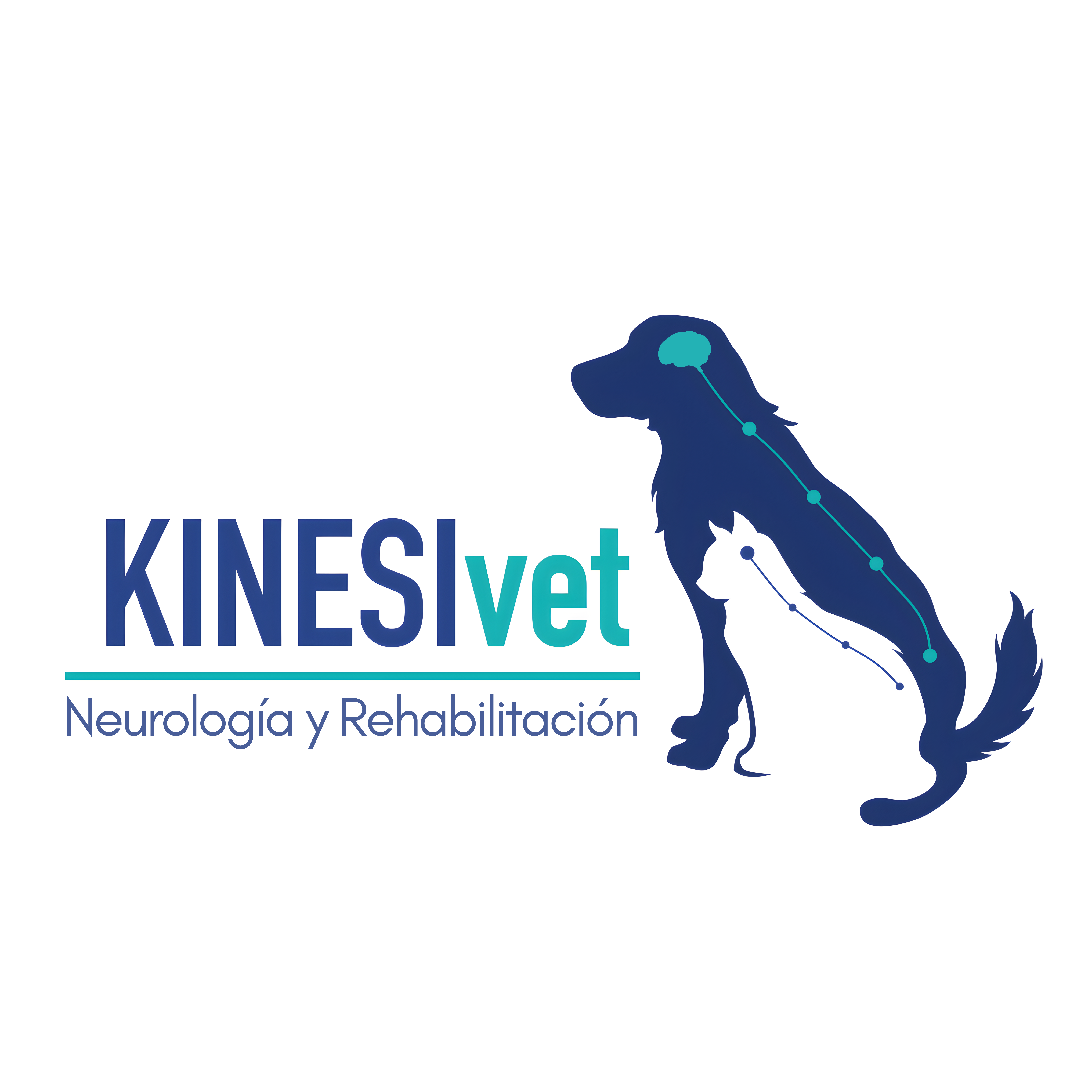 Logo KINESIVET Neurología y Rehabilitación Veterinaria
