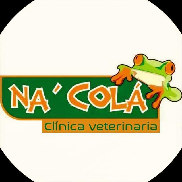 Logo Na Colá Clínica Veterinaria