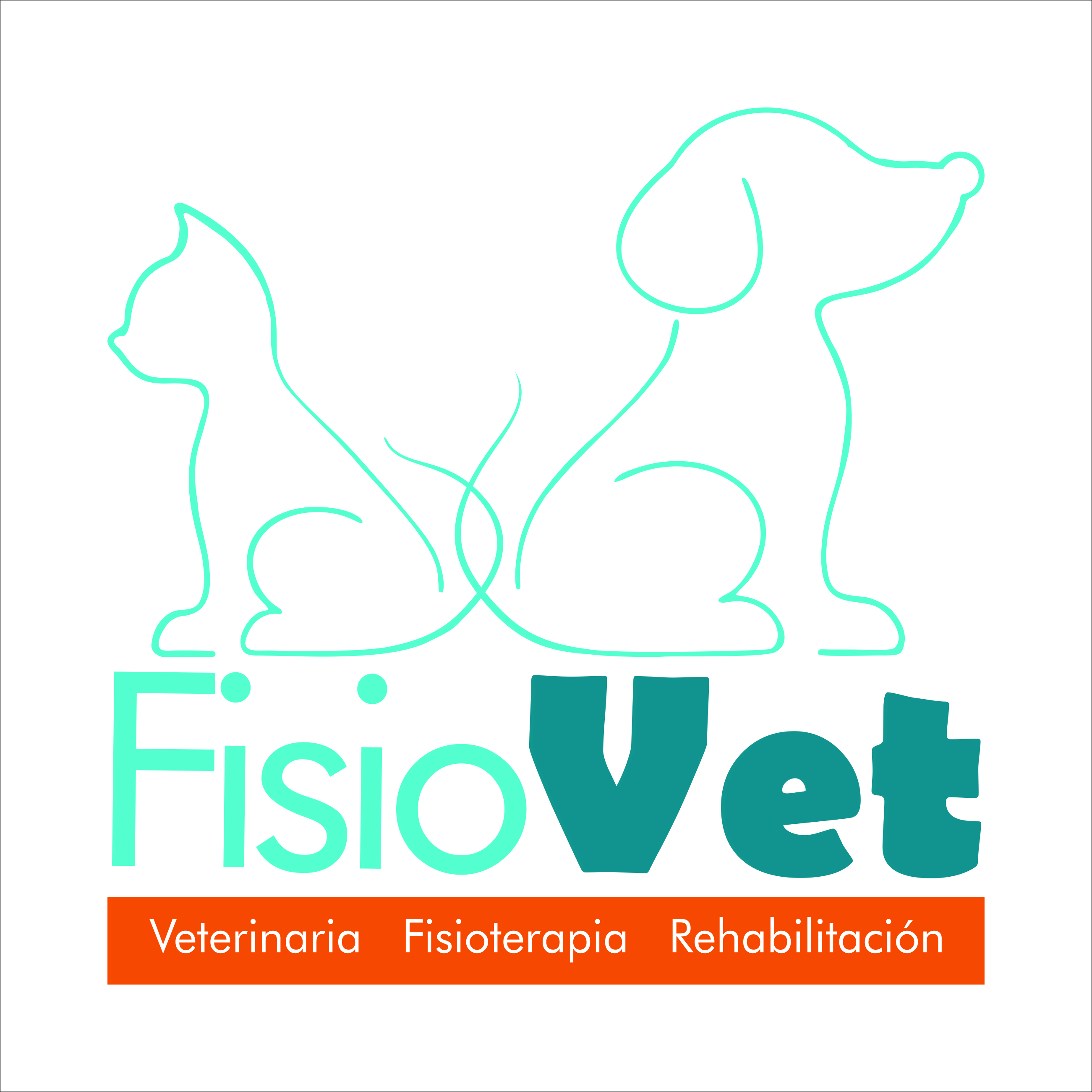 Logo FisioVet