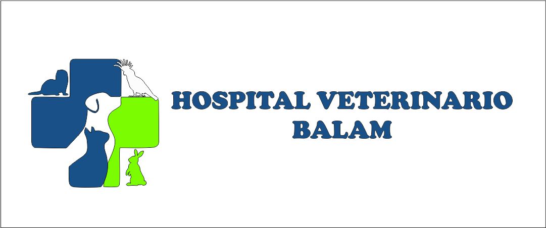 Logo Hospital veterinario BALAM