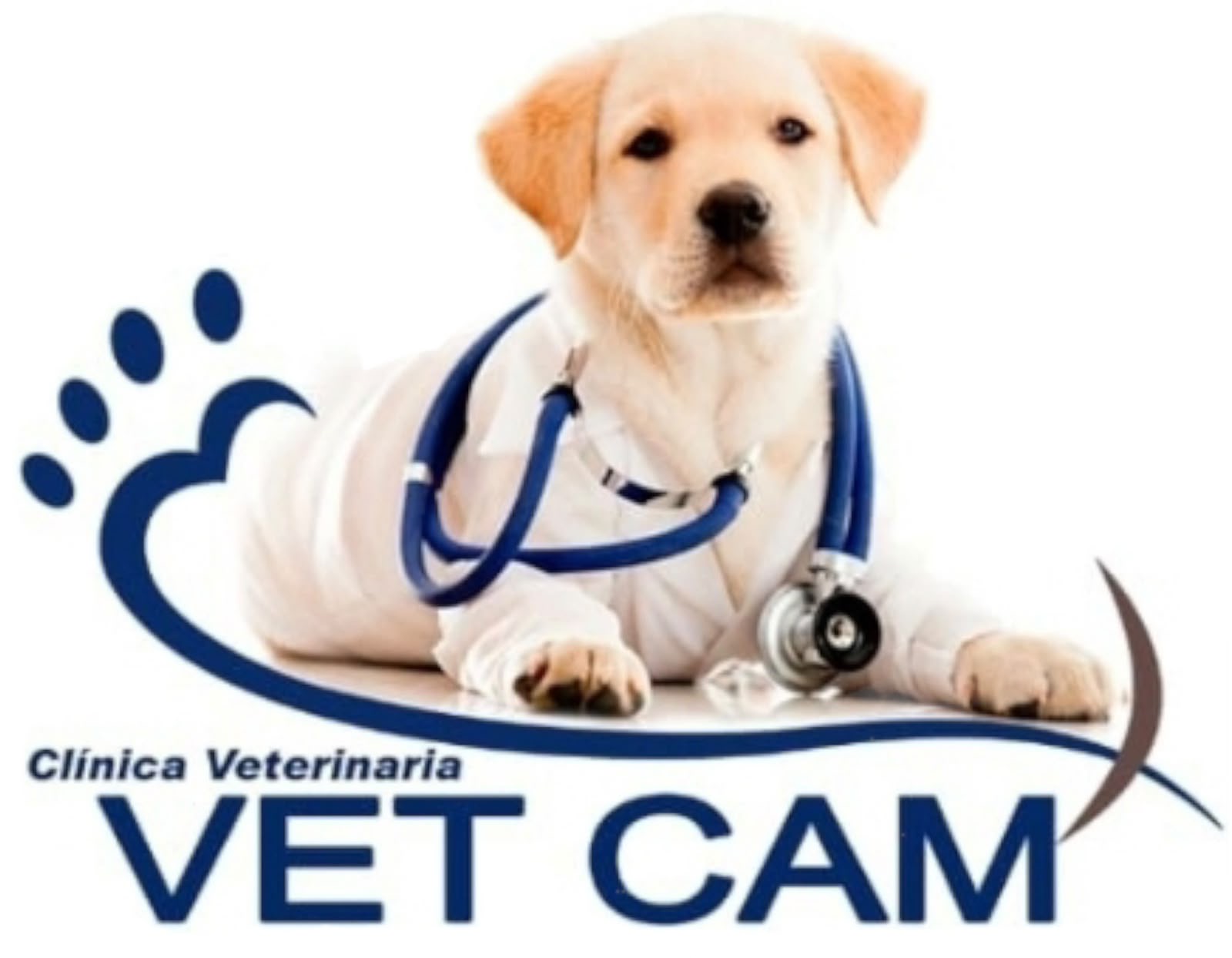 Logo Clínica VET CAM