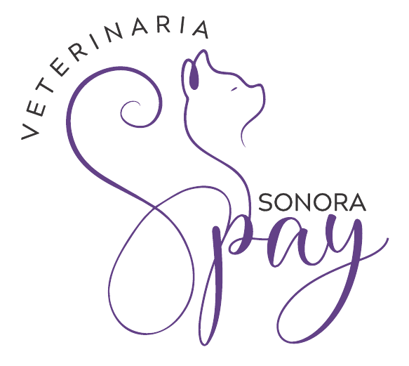 Logo Spay Sonora