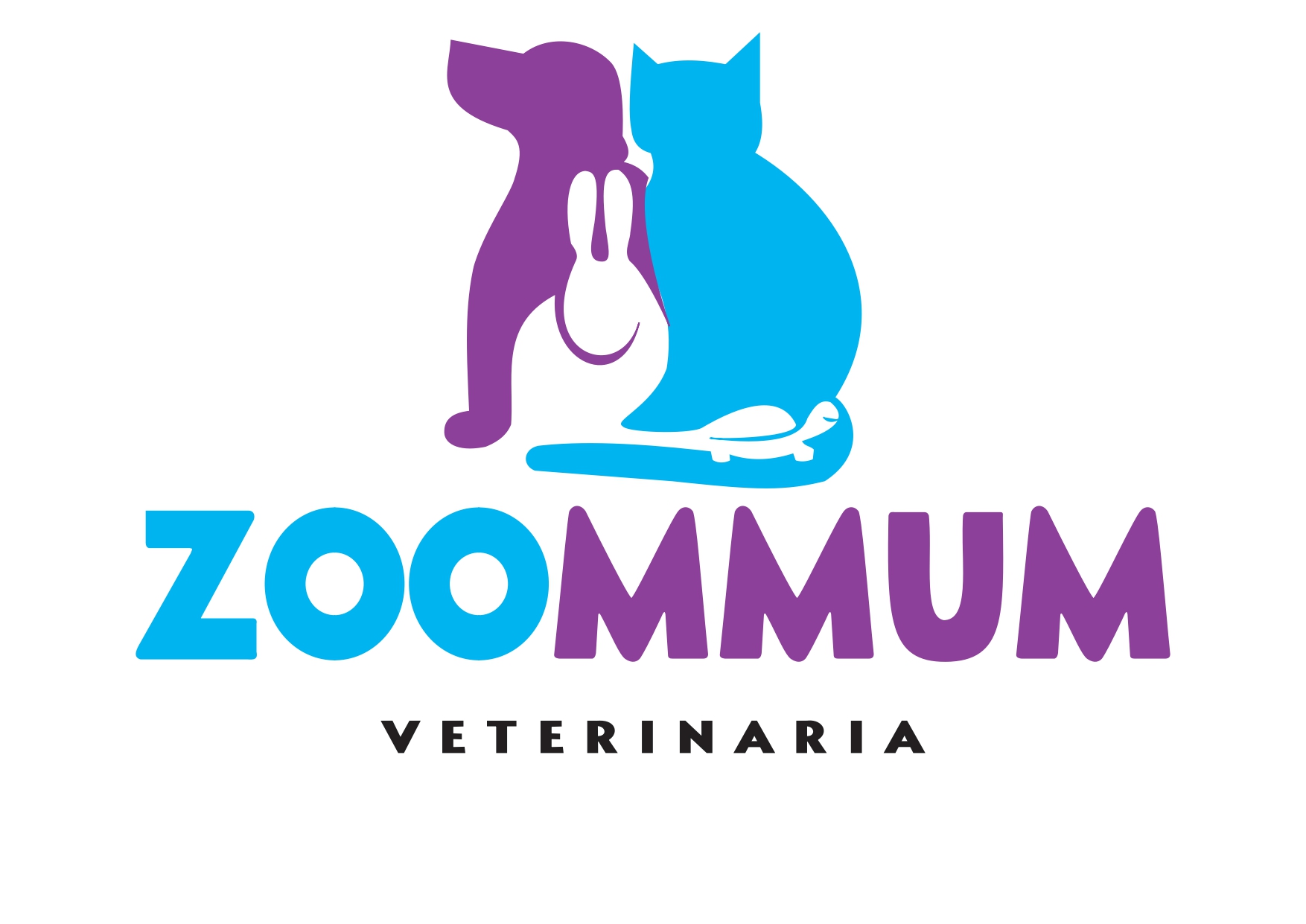 Logo ZOOMMUM