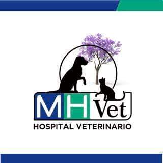 Logo MH VET