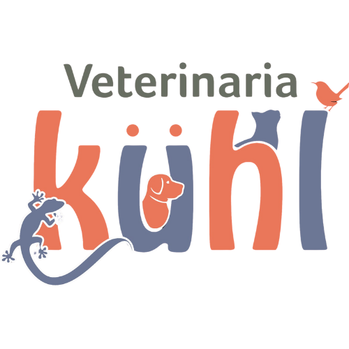 Logo vet Khül